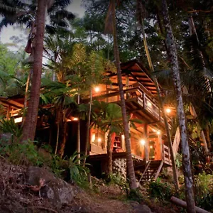 Currumbin Rainforest Treehouse Holiday home